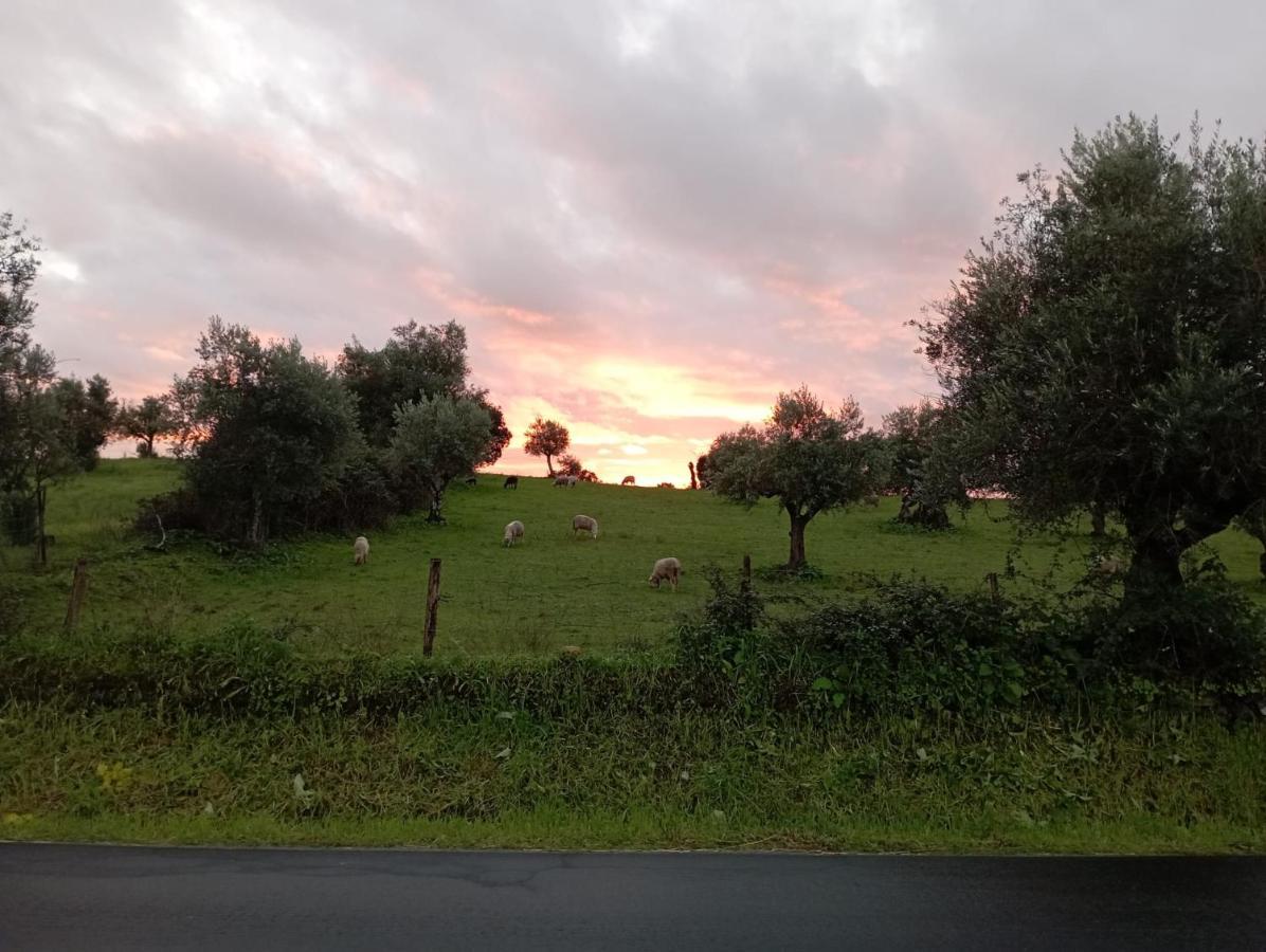 Retiro Da Cegonha Villa Crato Bagian luar foto
